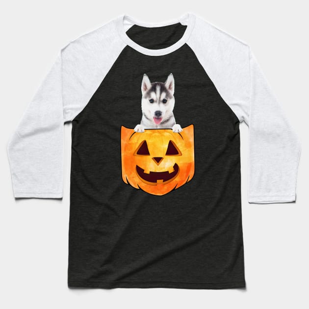 Husky Dog In Pumpkin Pocket Halloween Baseball T-Shirt by nakaahikithuy